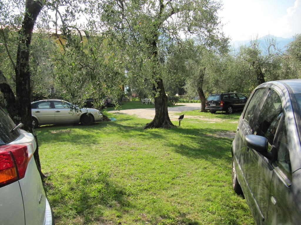 Hotel Carlo Brenzone sul Garda Zewnętrze zdjęcie
